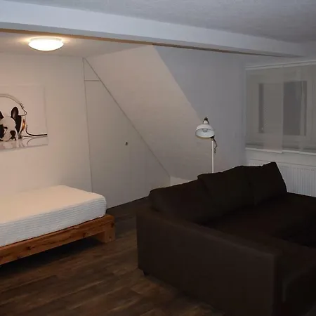Business-wohnungen Zentrum Daire *